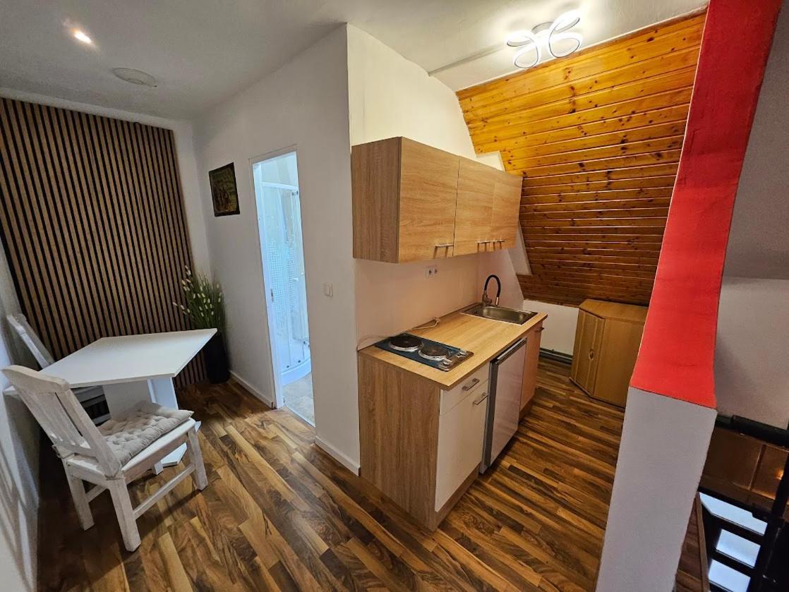 Pension Donaublick Grein 2 In Stifterstrasse19.アパートメント エクステリア 写真