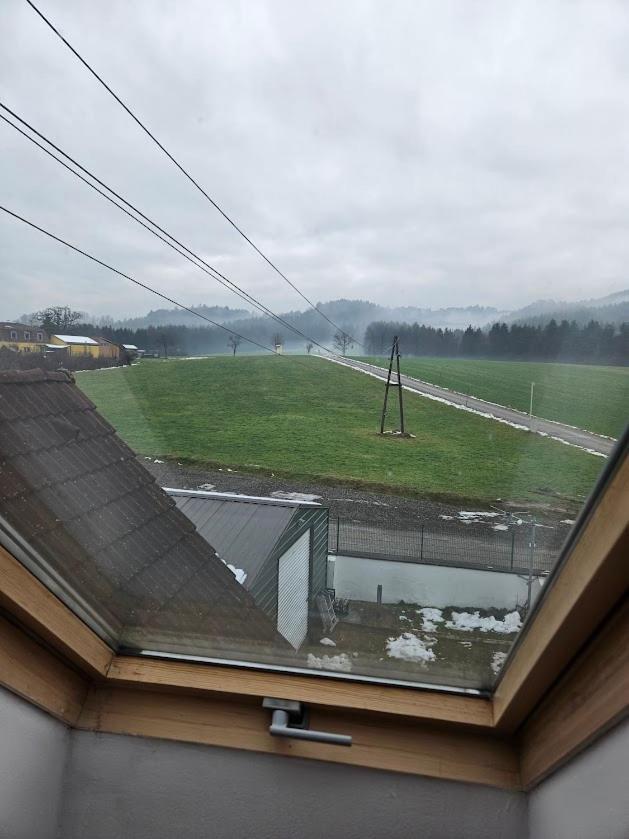 Pension Donaublick Grein 2 In Stifterstrasse19.アパートメント エクステリア 写真