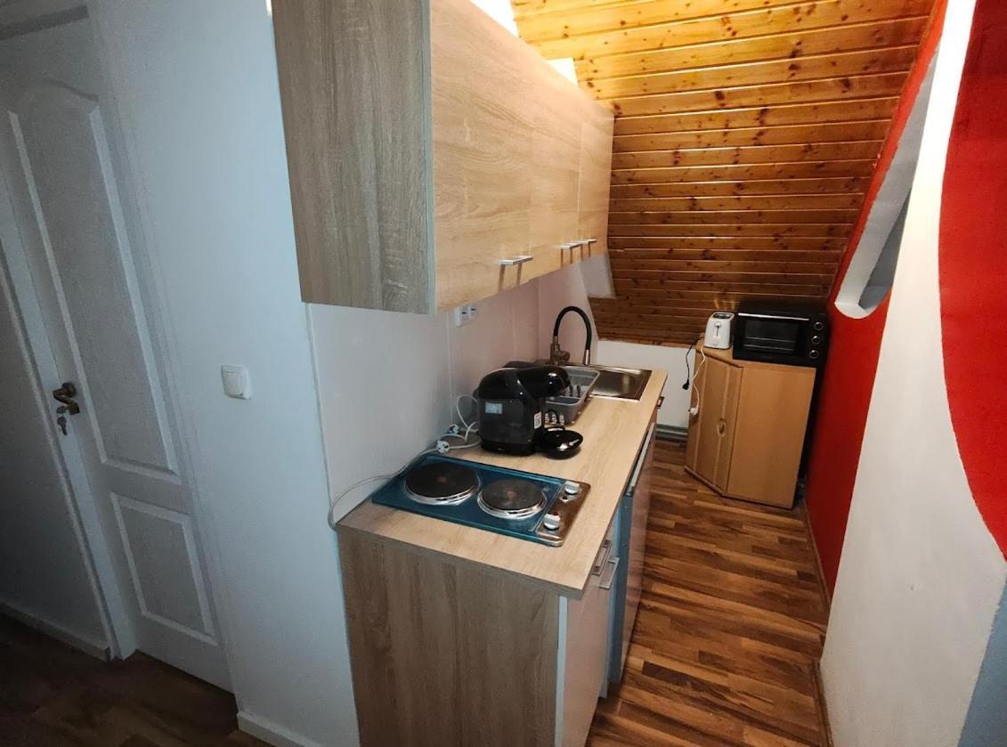 Pension Donaublick Grein 2 In Stifterstrasse19.アパートメント エクステリア 写真