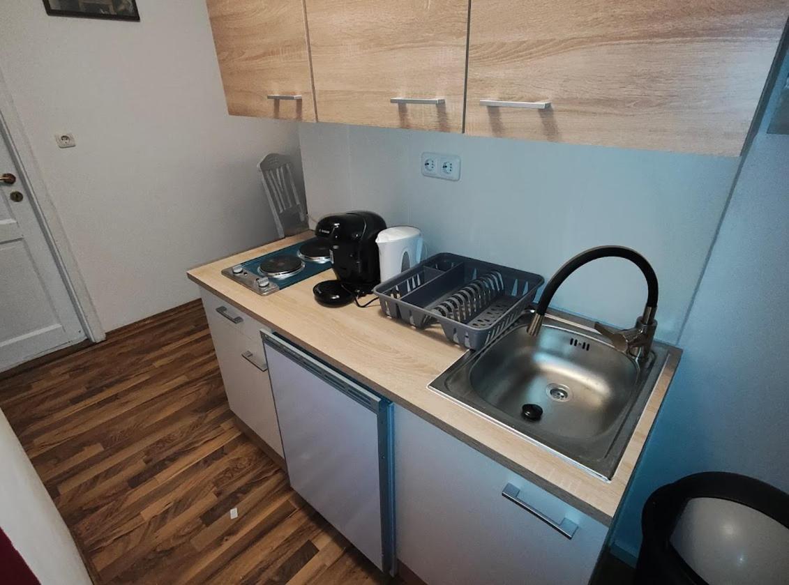 Pension Donaublick Grein 2 In Stifterstrasse19.アパートメント エクステリア 写真